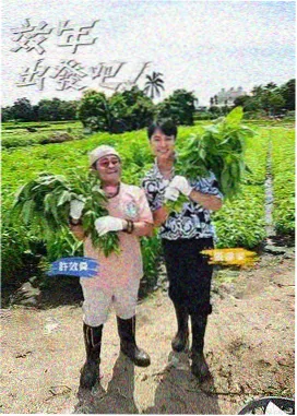 妈妈5画质版本对比缩略图